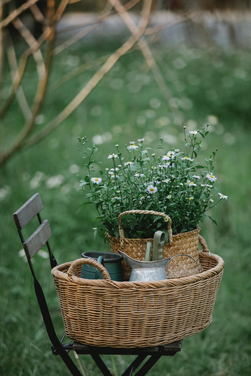 basket with chamomiles and pots on chair in nature